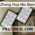 Zhong Hua Niu Bian 17